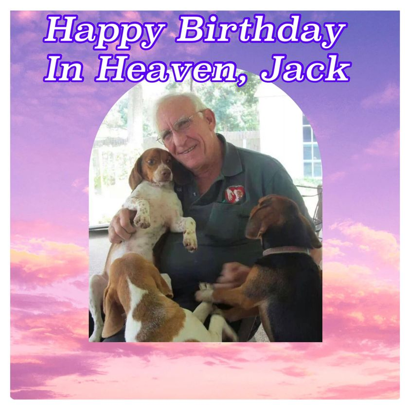 Bailey_Beagle's tweet photo. Because of Jack of SouthEast Beagle Rescue, I got to be a foster brother to 18 #rescuedbeagles ! https://t.co/JslNUA70Eg