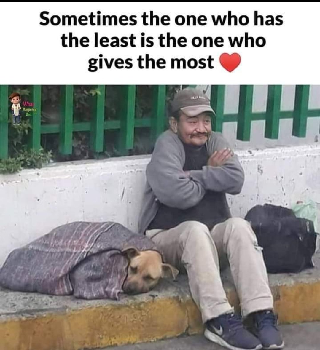 Happy Dog tweet media