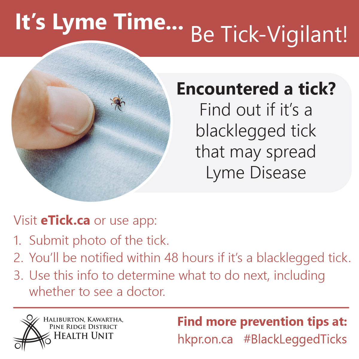 HKPRDHU's tweet image. HKPR District is a black-legged tick hot spot. Be tick-vigilant, complete tick-checks on yourself and your pets after every outdoor adventure you get up to this summer: bit.ly/3OdqLOj #BlackLeggedTicks