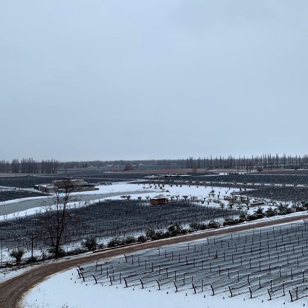 Estalló el Invierno en Las Compuertas. 
Los esperamos para vivir unas vacaciones repletas de actividades en Finca Victoria: wine tours, casa de huéspedes y exquisita cocina en 5 SUELOS - COCINA DE FINCA. 

#Durigutti #FamilyWinemakers #FincaVictoria #LasCompuertas #Mendoza #snow