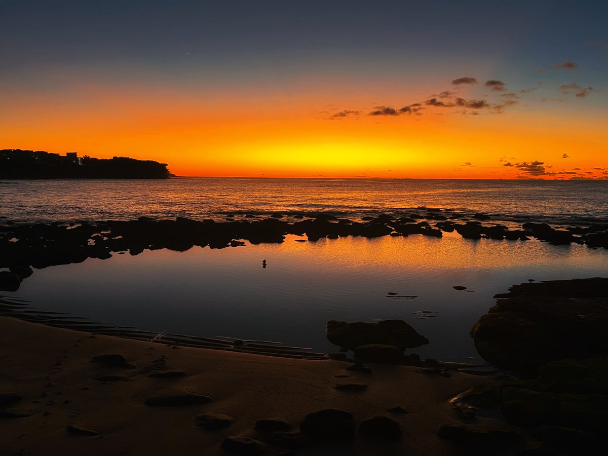 Sydney has outdone herself this morning #inspo #bronte #openwaterswim