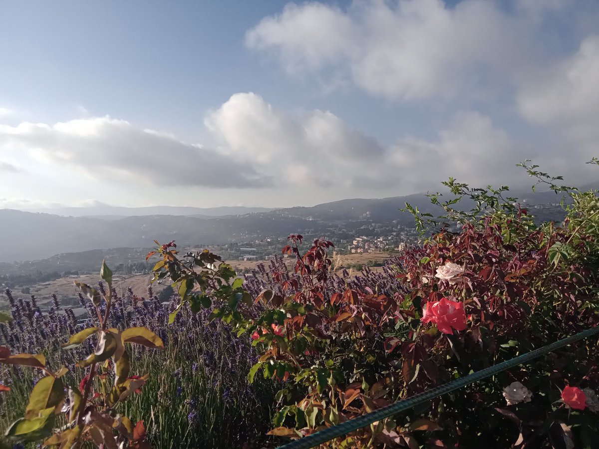 Nabih Zeidan (@nabihzeidan) on Twitter photo 