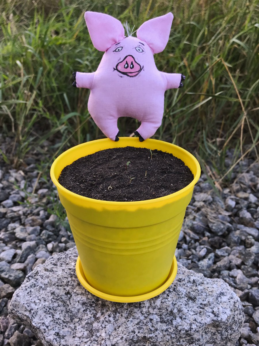 13birdsNFT's tweet photo. Day 5
Collection - Paprika CHORNOBRYVTSI 🐽🐽🐽

https://t.co/P7AbNbDwnI

#NFT #NFTs #NFTartist #cryptoartist #ukraineartist #forNFTcollector #13birds #eth #ethereum #flowers #chornobryvtsi #marigold #tagetes #чорнобривці #nftflower #flowernft #nftflowers #flowersNFT https://t.co/Fe7GwvxRcR