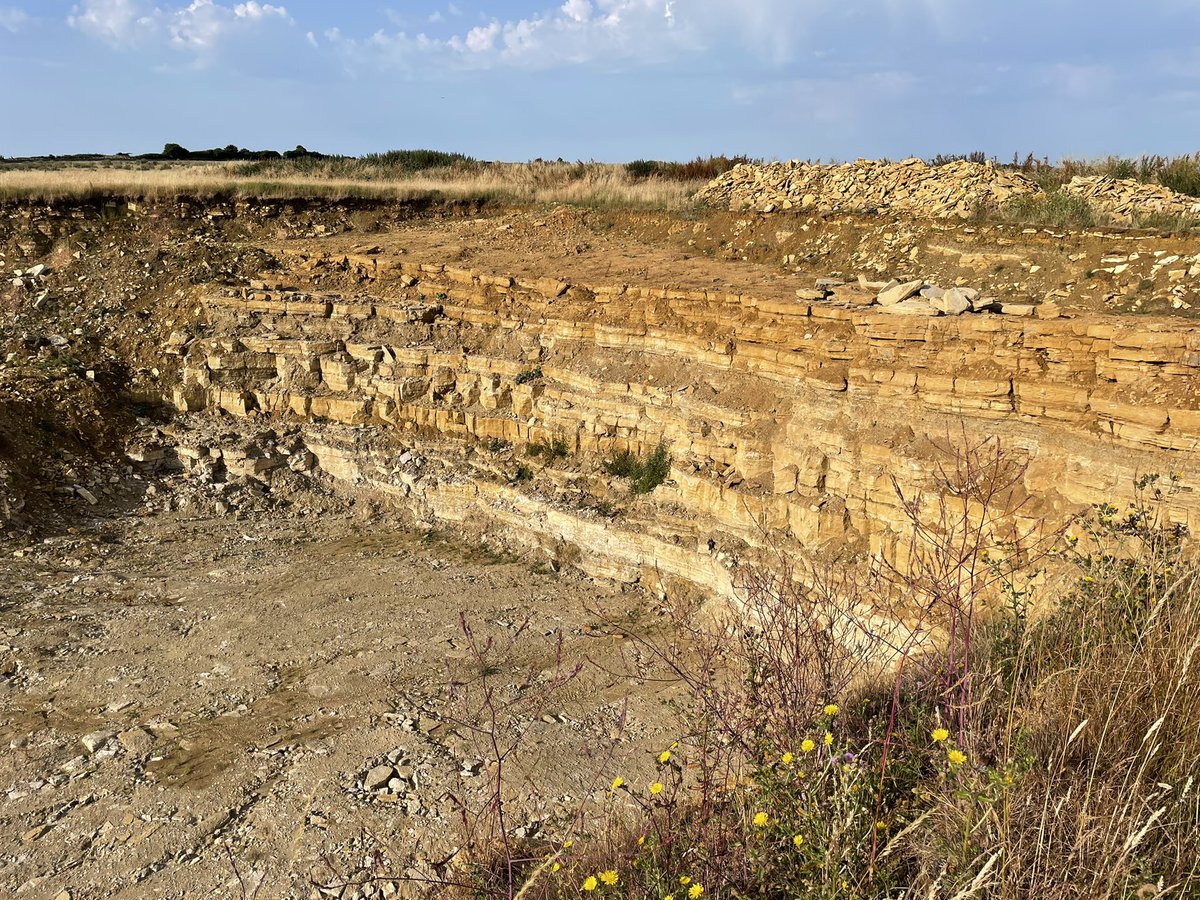 GEOetc2's tweet photo. Pick a layer of limestone to use in your building!  Jurassic coast, UK https://t.co/FpVD1CLNYQ