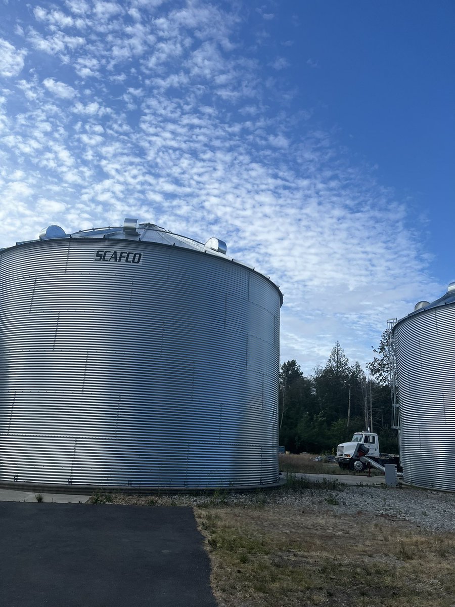 Westland Distillery (@westlandwhiskey) on Twitter photo Great to get out in the barley fields this weekend with <a href="/SkagitMalting/">Skagit Valley Malting</a> and the folks from the WSU Bread Lab! Thanks for having us 🌾#singlemalt #barleymatters Great to get out in the barley fields this weekend with <a href="/SkagitMalting/">Skagit Valley Malting</a> and the folks from the WSU Bread Lab! Thanks for having us 🌾#singlemalt #barleymatters