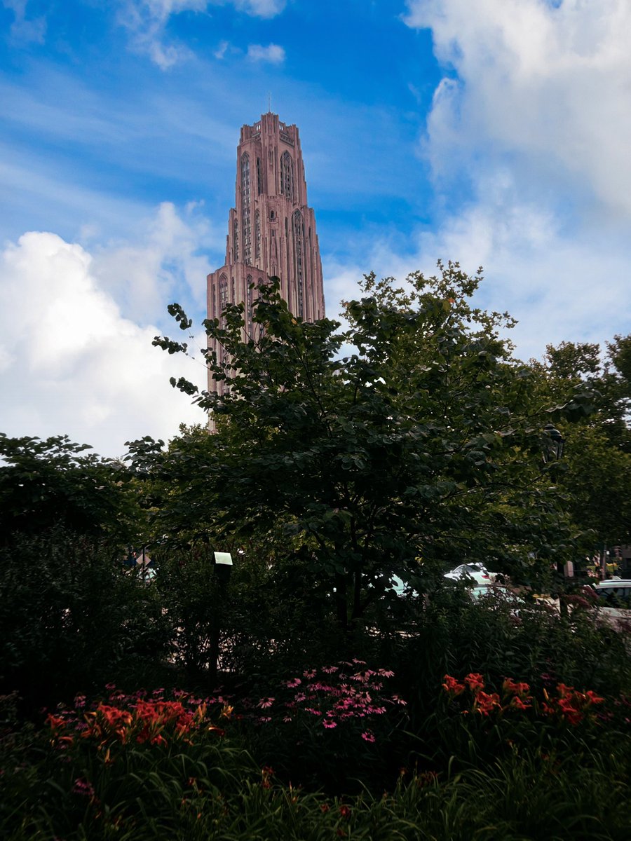 Dave Podnar 🦄 tweet media