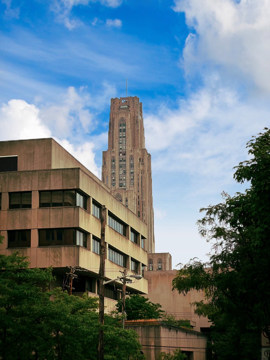 Dave Podnar 🦄 tweet media