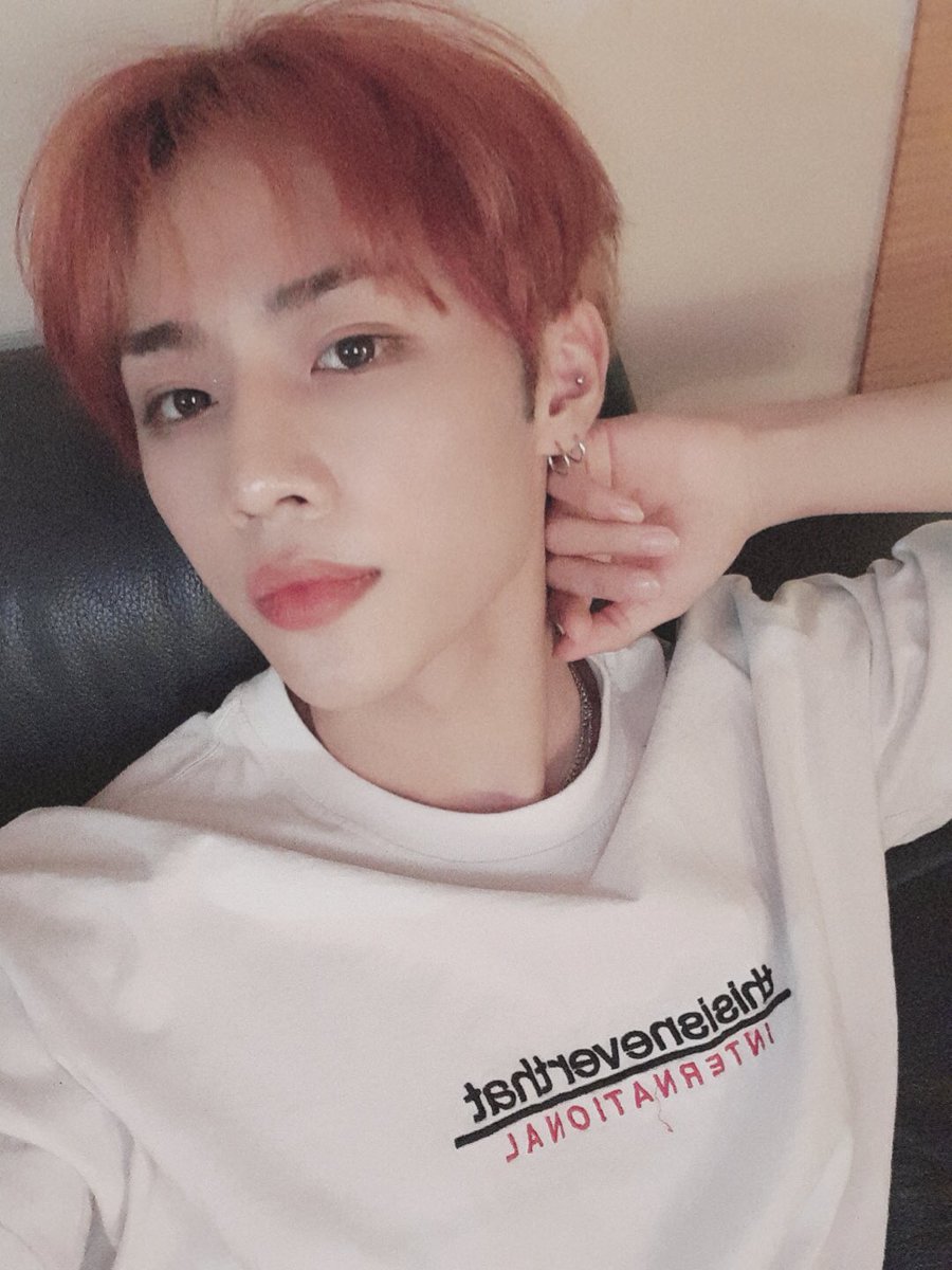 newboyztwt's tweet image. No hay bonks por dar, hoy damos unos #𝕡unch在一𝙰ir 🥊 pues estoy más que dispuesto a darle un punch a la primera persona que me interrumpa en la #𝙱eyond𖤐𝐳one en donde estaré muy ocupado sacándole fotitos a mis 127 babies para tenerlos como fondo.

𝕤caredy 𝕔at ☆ #𝑘itai