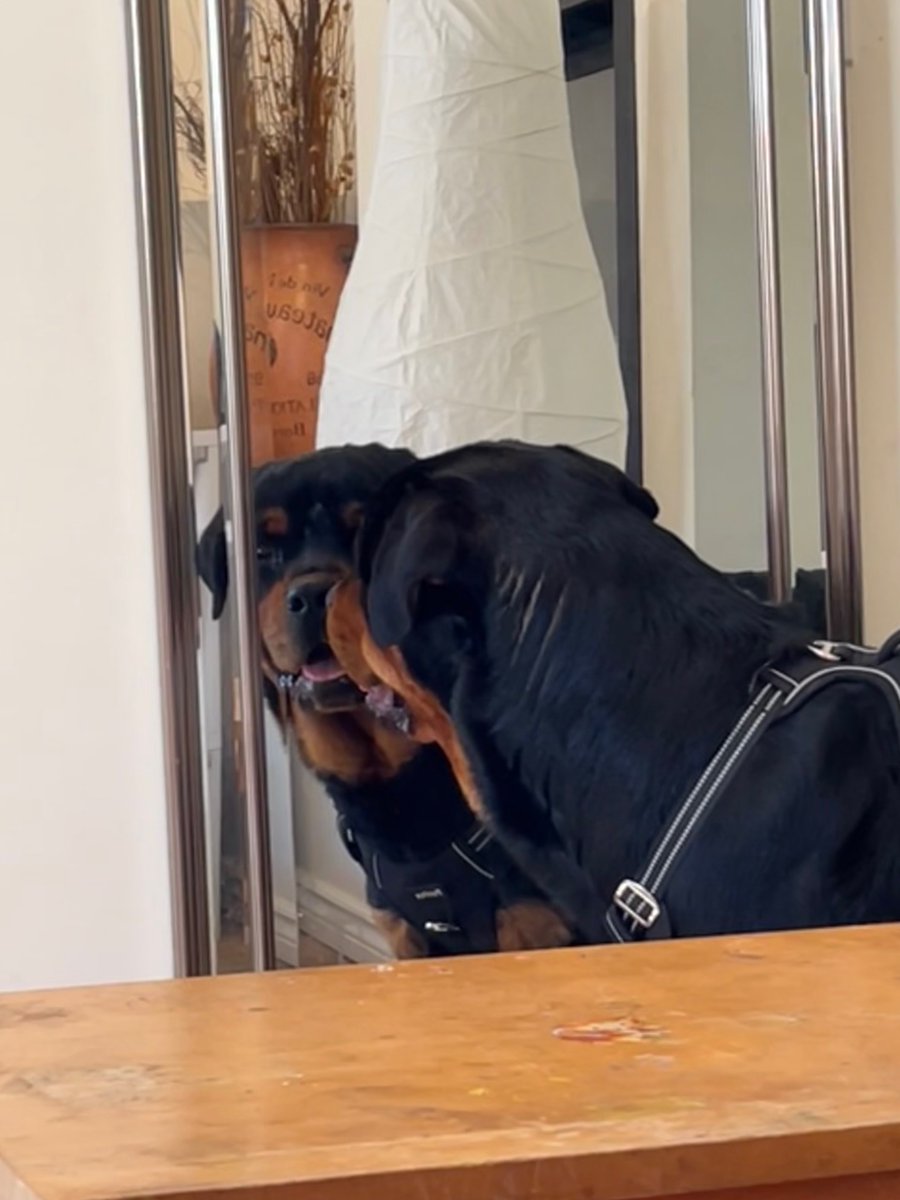 I’m handsome and I know it!