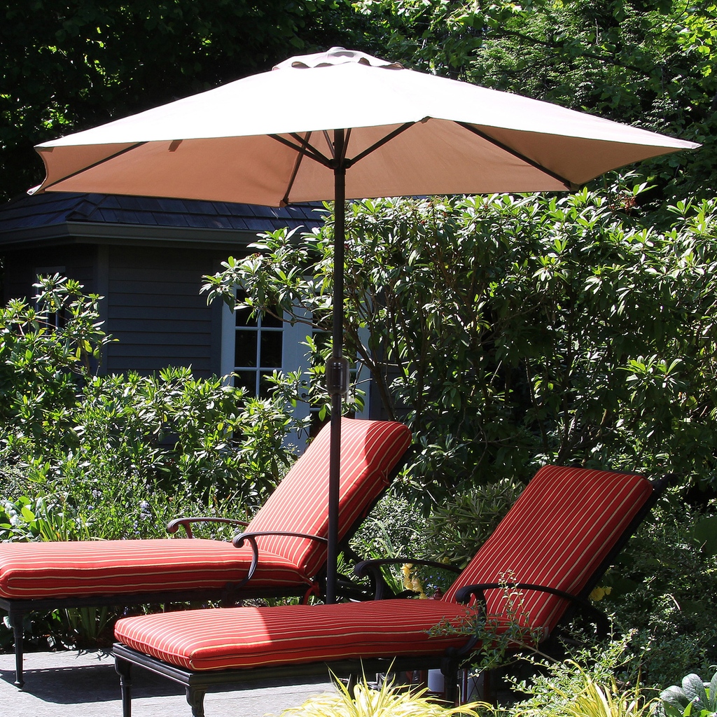 Hayneedle tweet media