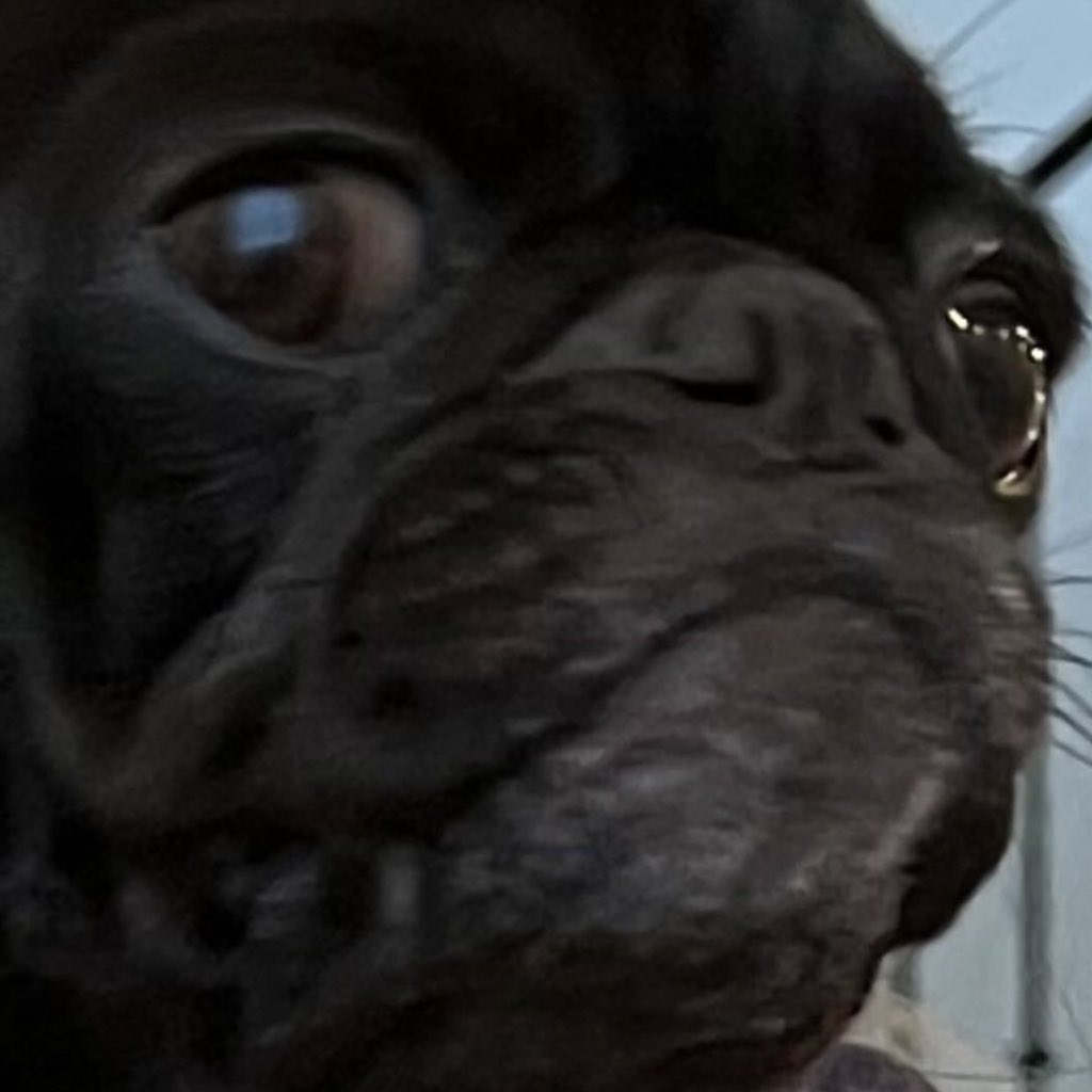 <a href="/BunheadHQ/">BunheadHQ</a> <a href="/TildaPetras/">Tilda Petras</a> one taught me love, one taught me patience, one taught me pain