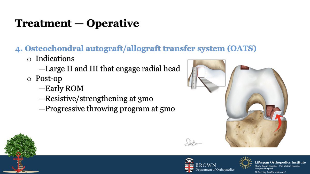 I love the in-depth learning that comes from putting together presentations. This past week, I learned all about OCD elbow classification system and how the OATS procedure may be indicated for lesions involving the radial head. #orthotwitter #pedssports