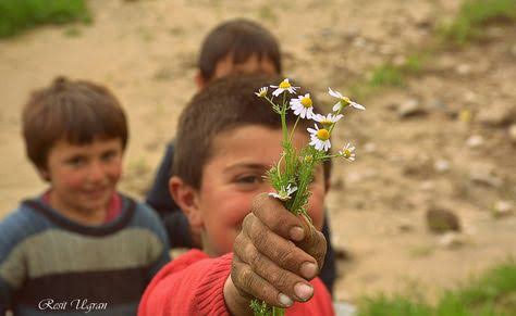 01GRL01's tweet photo. ''Gönül, gönül verilerek alınır.''

Sezai Karakoç

#PrimeAlışverişFestivali
#yks2022tayfa #ösym https://t.co/QlnxBUjNvh