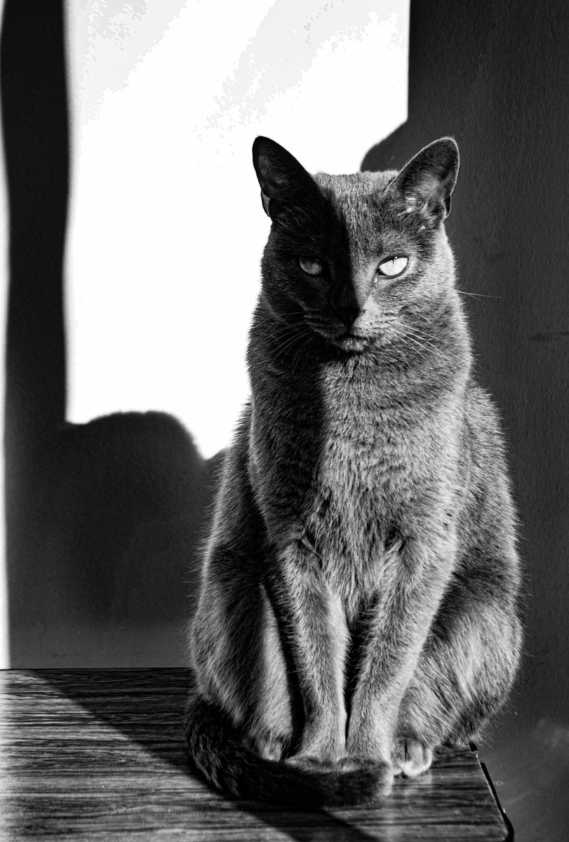 Tarde de sol con mi compañera fiel