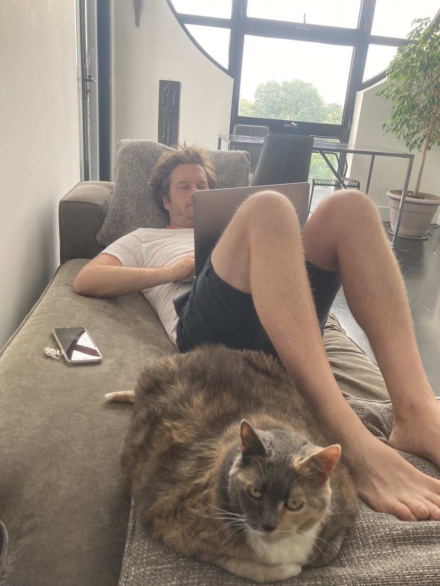 My cat’s job is to get me followers on twitter. She gets paid 1 meal for every like, so if you want her to be fatter, you know what to do