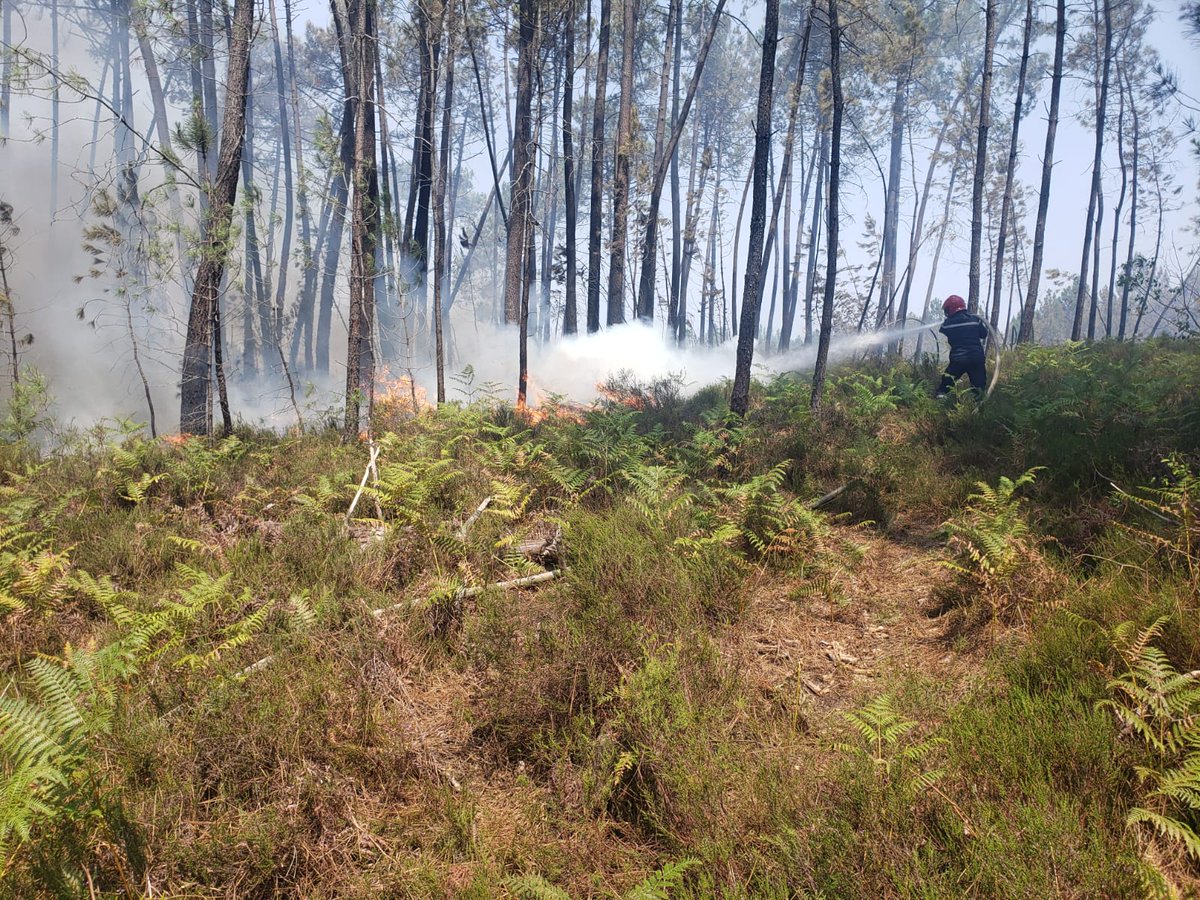 sdis08's tweet image. #Gironde Aujourd'hui, les 👩🏻‍🚒#sdis08 étaient dispersés sur les sites de #LaTesteDeBuch #Landiras #PilatSurMer et #Biganos. Plusieurs engagements sur des incendies et des prises en charge, du poste médical avancé #PMA vers l'hôpital du secteur. @PompiersFR @SDIS_33 @Prefet08