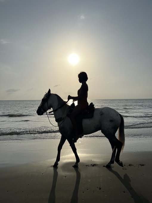 I rode Paso Fino horses in Cartagena, Colombia. https://t.co/1RCUTD7kw0<a href="/tag/newprofilepic"class="tags"><span>#newprofilepic</span></a>