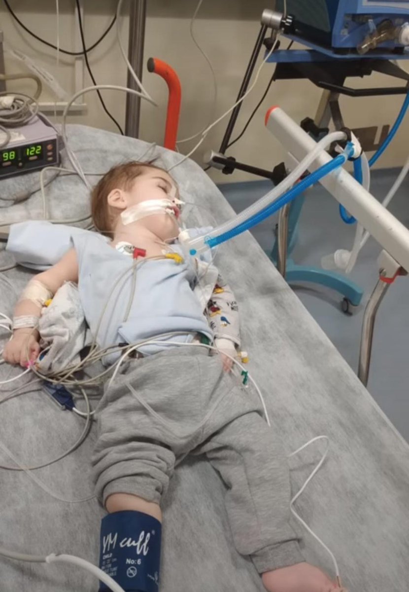 24 saat içinde 500 SMS toplayalım mı bana ☺️ 6326’ya TUĞRUL yazıp gönderin, sonra bana mesajların ekran fotoğrafını atın, 1000’den geriye sayım yapalım, olur mu💓  ve bu tweeti bol bol rtleyin ki çok kişi duysun sesimi, ne dersiniz? #sanliurfa Urfa #İstanbul #Ankara