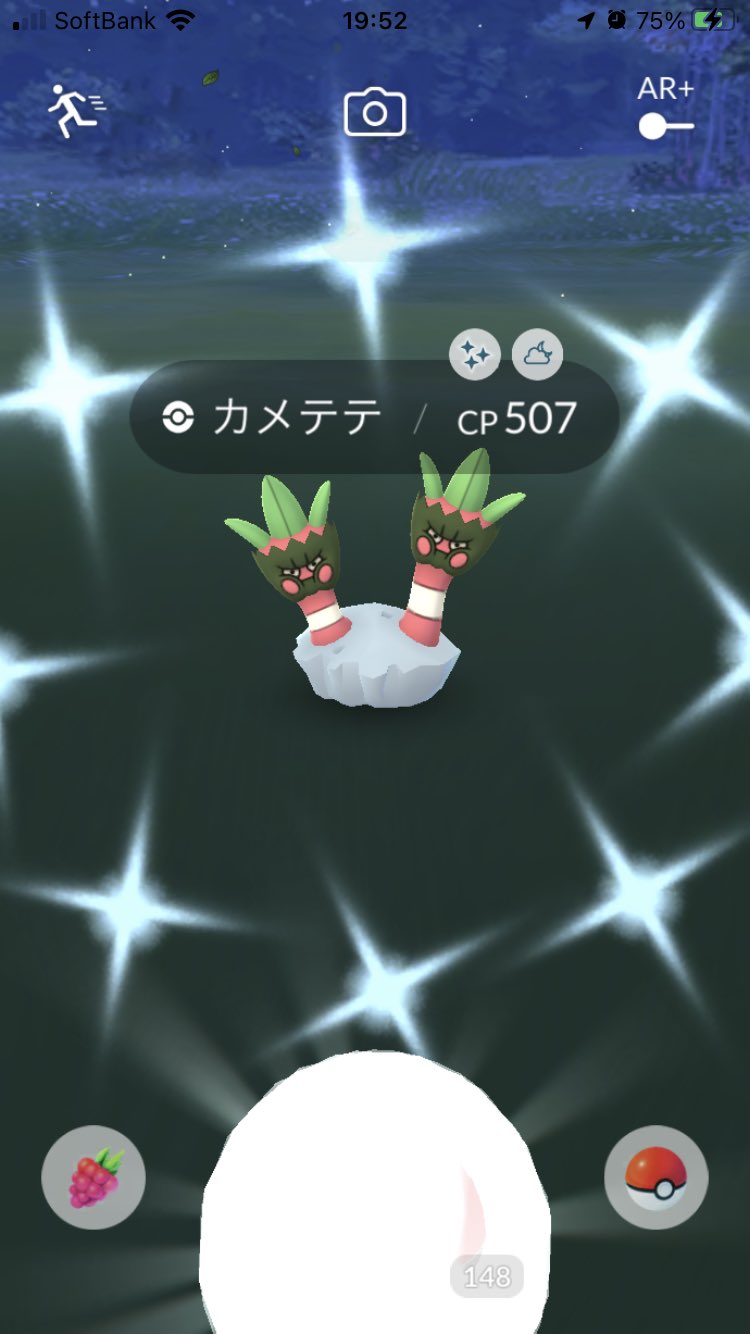 カメテテ Twitter Search Twitter