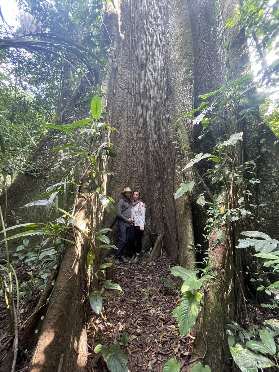 Loved visiting our ingredient partner Camino Verde in the southern Amazon 🌳 Visiting primary forest nourishes the soul.