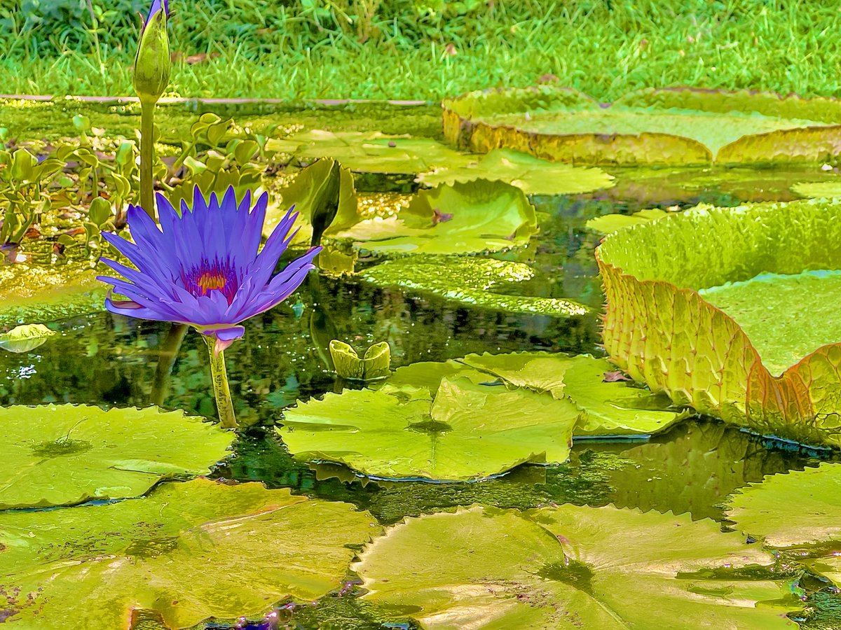 Natureperfection