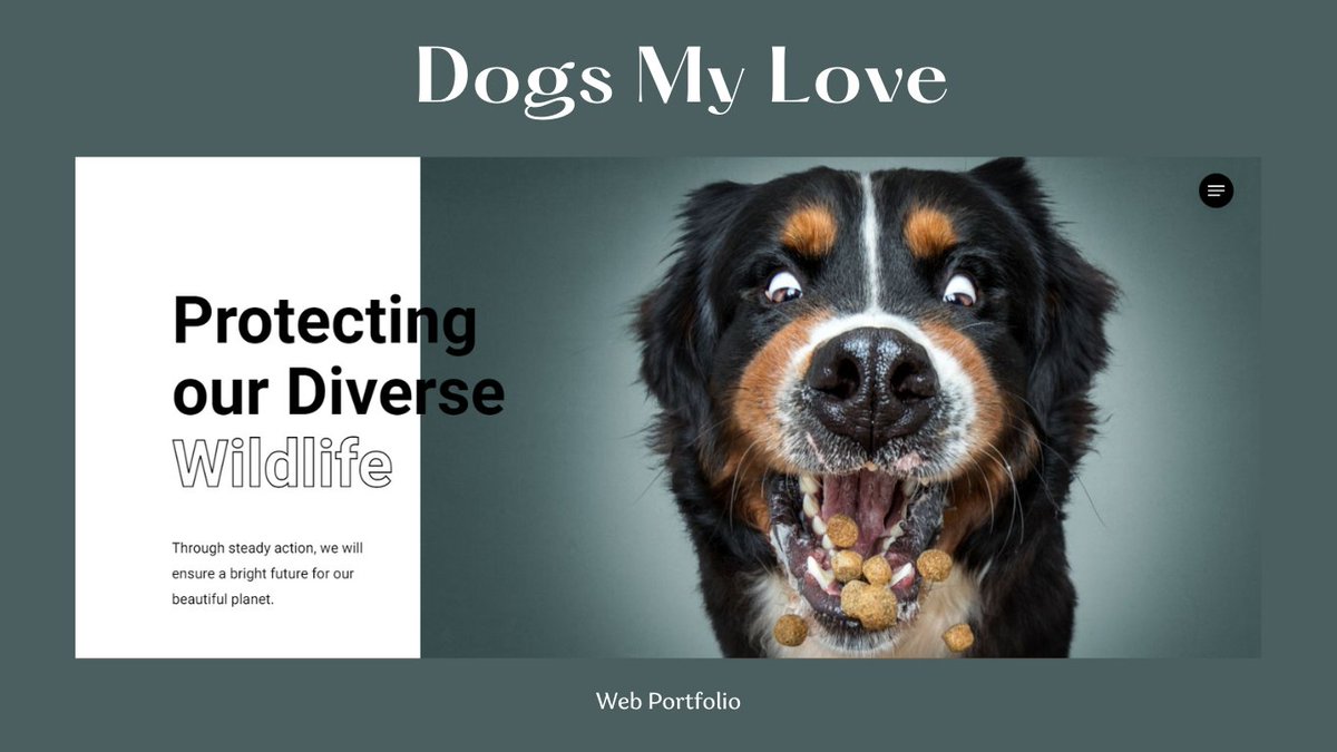 Website Portfolio tweet media