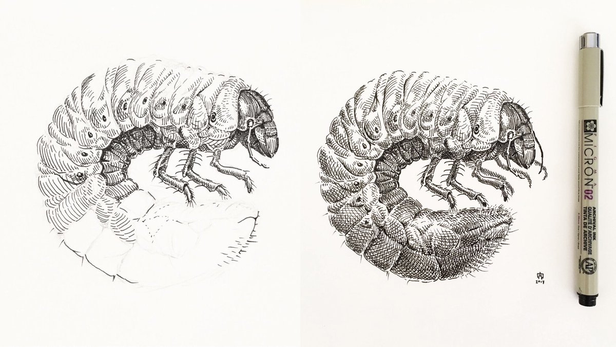 dadrummondart's tweet photo. C is for crosshatching https://t.co/VHZLFC3wUs