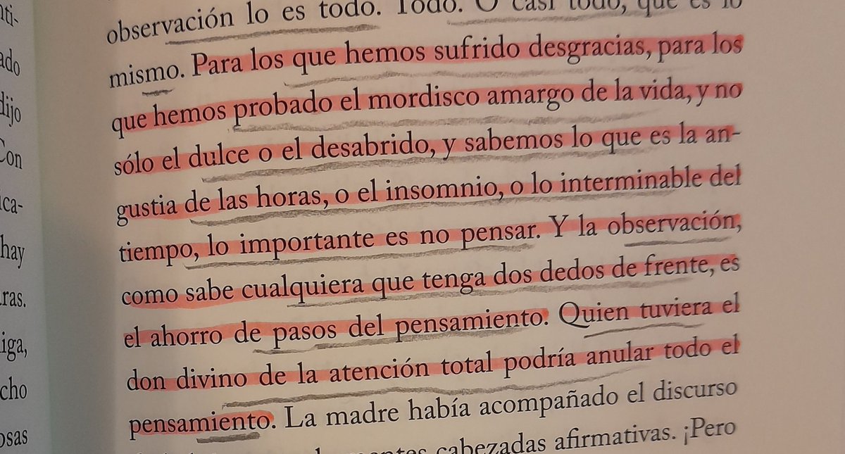 CrisJavierS1977's tweet photo. Lo importante es no pensar... 
César Aira. Lugones. https://t.co/rxRkEJ7hGh