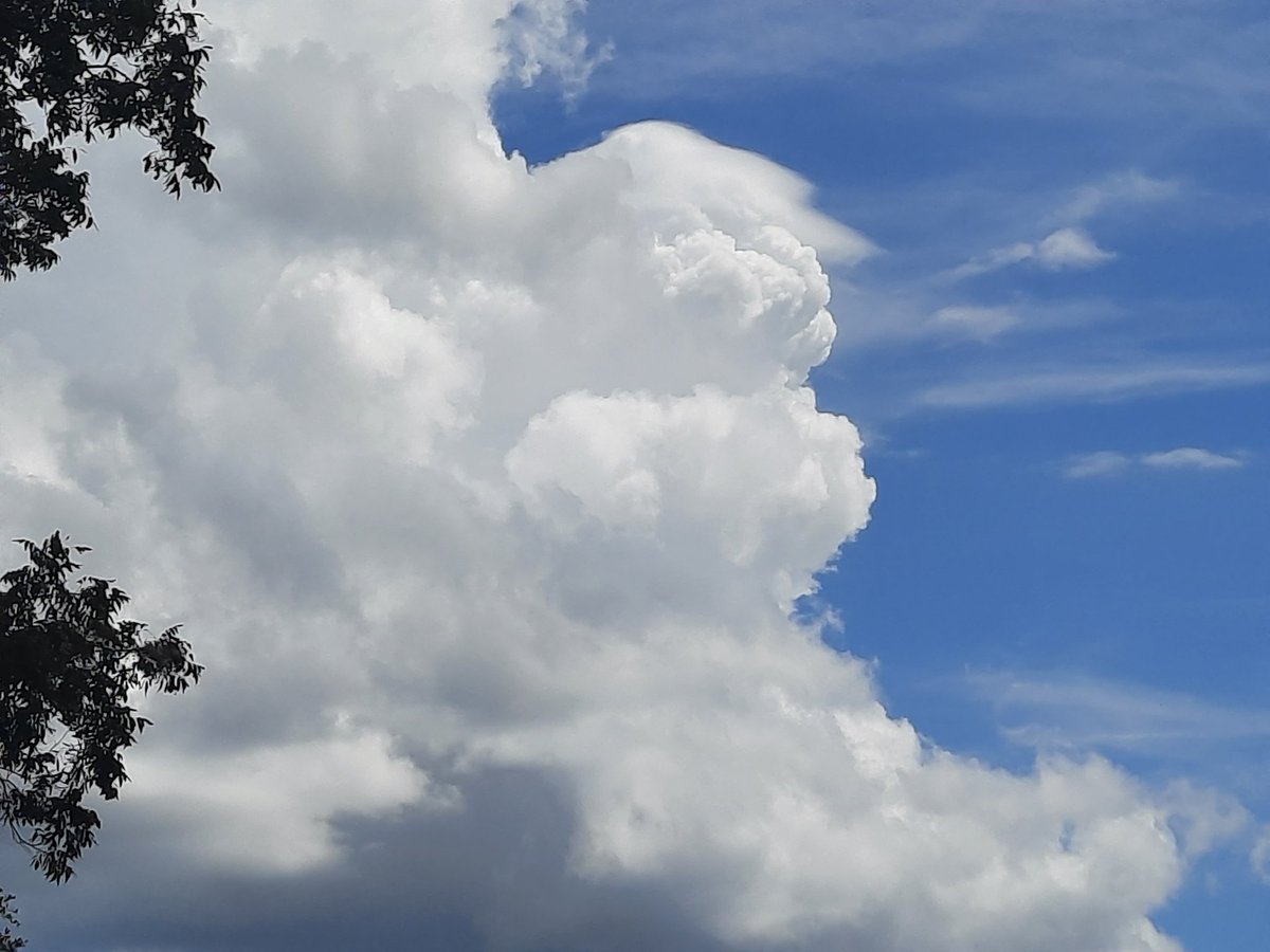 #Cumulus #clouds rise 👀 S #JaxFL w/#Pileus en route #StormHour #ThePhotoHour #AJSGArt #ViaAStockADay @WizardWeather @JAclouds @luketaplin42 @WilliamBug4 @cloudymamma @mypicworld @EarthandClouds2 @PicPoet @enjoyscooking @tonytewitty @tracyfromjax #photography #nature @AngelBrise1