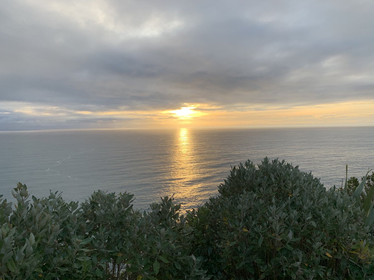 The west coast of New Zealand’s South Island. I discovered the show ‘Peacemaker’ lately. Given the sameness of so much stuff out there, this show’s irreverence really did it for me. I have so much stuff to write. It’s summer and I’m home. Wishing you all peace. #Peacemaker