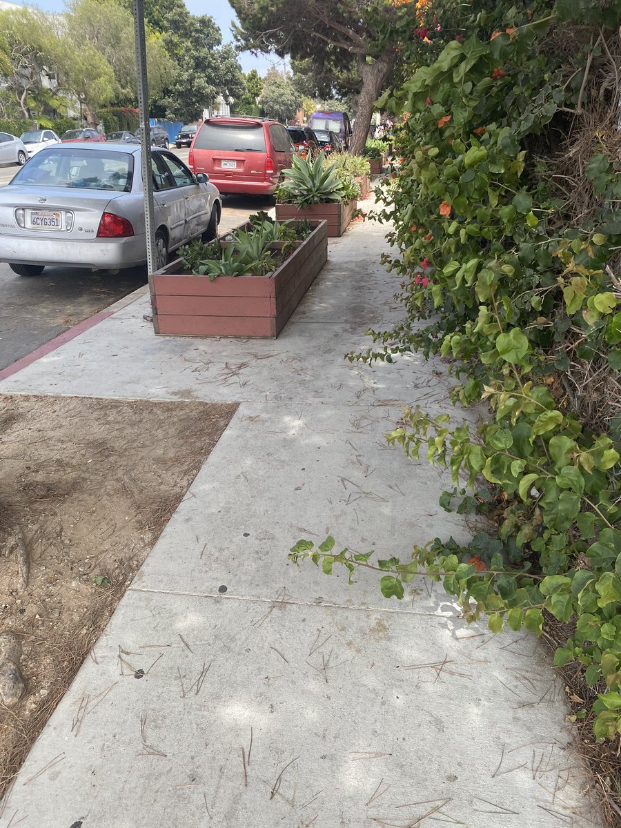 I support more greenery but seriously, take the land from the cars, not from pedestrians. We need wider sidewalks!