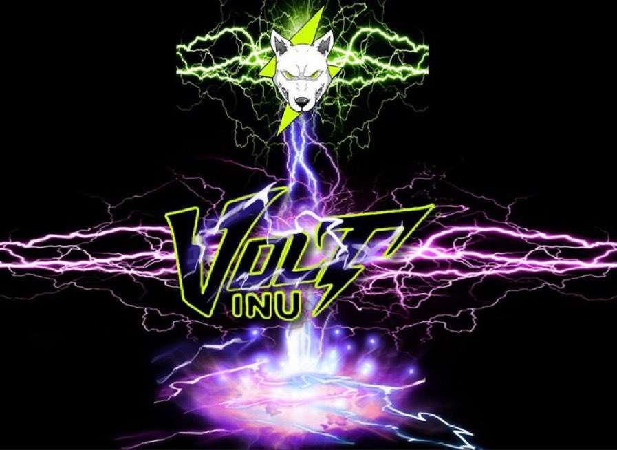 BBobP4's tweet photo. @rovercrc Volt Inu V2 is definitely in the 5% that make it.⚡ Volt will lead the run 💪👍⚡⚡⚡⚡ #voltichange #VOLTISOFT #VOLT #VOLTNFT #VOLTARMY #Voltinuofficial https://t.co/UJNNG4pfvq