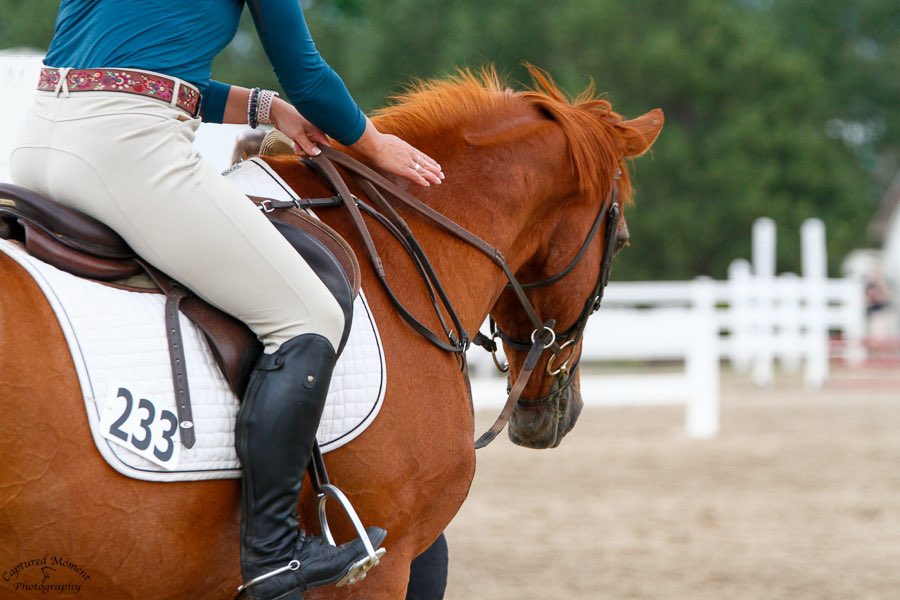 HaleyLagrill's tweet photo. Dusted off the boots and went back into the ring after 5 years of not showing and I have to say this was one of the best weeks of my whole riding career, hands down. Lucky to have this kid as my best friend and teammate ❤️🐴💛 https://t.co/oddhbYJLuX