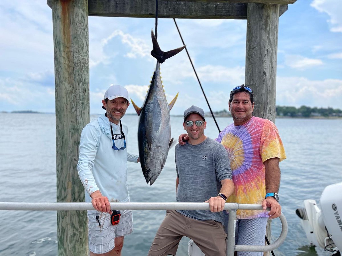 Michael Pryor tweet media