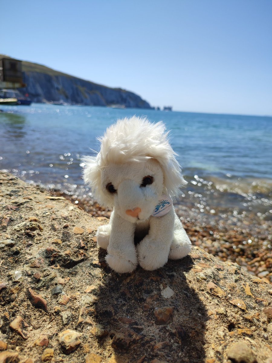 spaceytracey78's tweet photo. A trip to the IoW wouldn't be complete without @BChampCollege science Lion visiting Alum Bay to learn about the coloured sands and of course visiting the Needles. https://t.co/KaDQfkRAIl