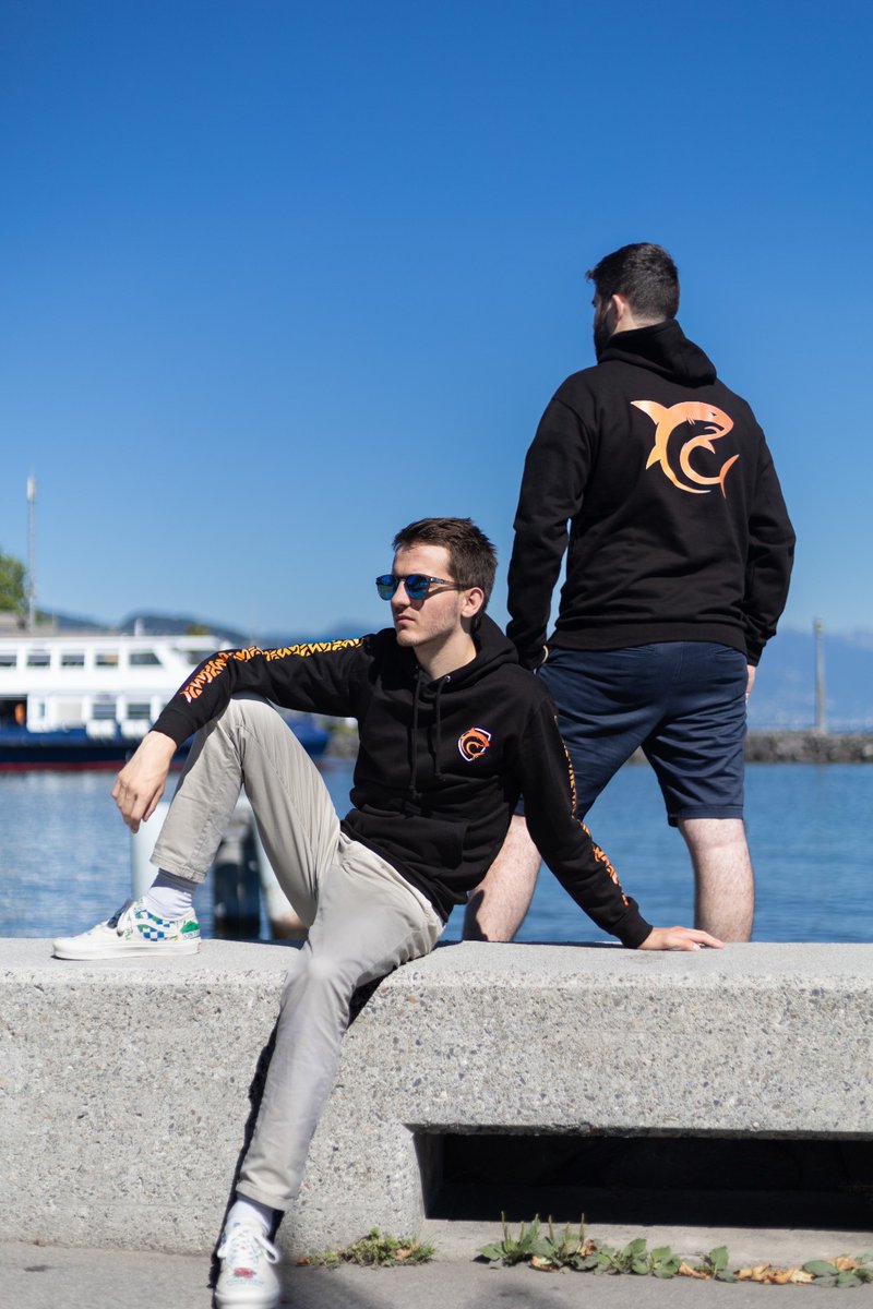 FireGoldSharks tweet media