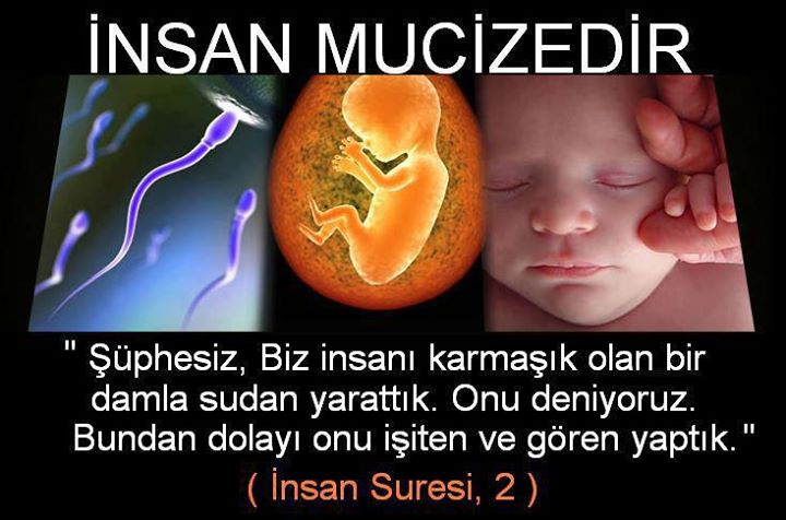 #insan 

insan
yaradilis itibariyle
kendisinin hayal bile edemedigi
cok büyük bir #Potansiyel'e sahiptir

icinde (#ÖZ) gizli olan bu potansiyel;
tanrisal-ilahi bir güctür

Bu GÜC;
sadece
KENDiNi BiLME CALISMASI'yla aciga cikartilabilir

#KendiniBil