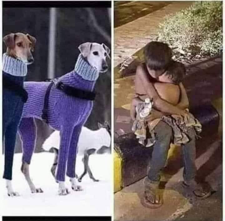 نور (@mladh02824728) on Twitter photo 