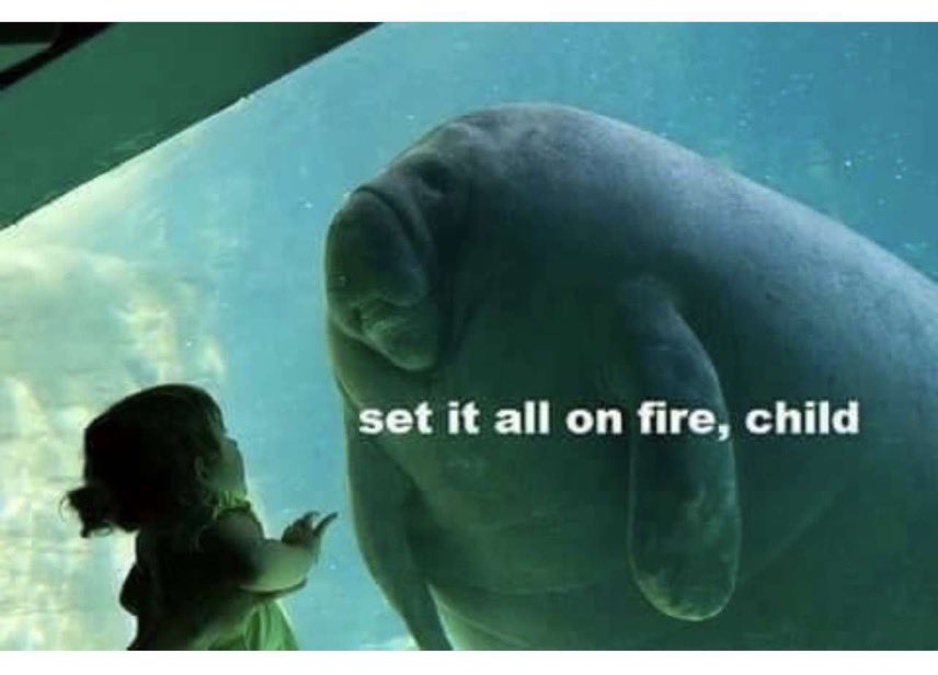 🇵🇸🇦🇷 tweet media