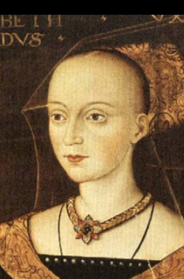 تويتر 薔薇王沼のれいちゃん على تويتر エリザベス ウッドヴィルイングランド王エドワード4世の王妃 右の画像はhttps T Co Wenycx4rof より とても素敵なチャンネルです T Co Wy4pocajsg