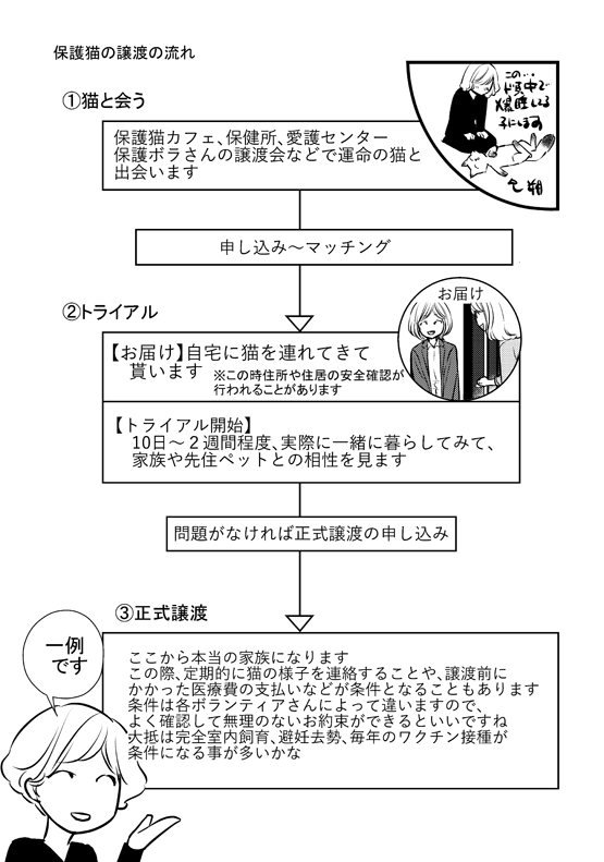 8年前のお話。
保護主さんが朔を連れて来てくれて、トライアルが始まりました。1/2
「ふじいみとりのねこ活」より
https://t.co/JhmvEIKDQw