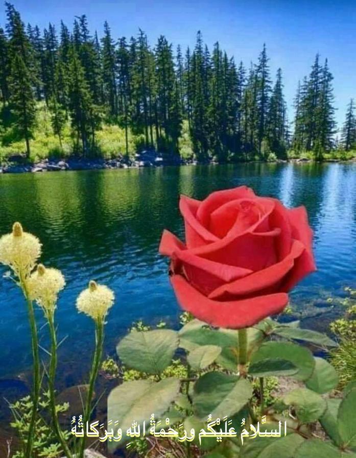 🌷 شیخ سعدی رح فرماتے ھیں 🌷

 یاد کرنا اور یاد آنا دو الگ باتیں هیں
میں یاد ان کو کرتا هوں جومیرے اپنے ھیں
 "اور"
میں یاد ان کو آتا هوں
💕 جو مجهے اپنا سمجهتے ھیں💕

السلام علیکم 
صبح بخیر 💓 

<a href="/NargisJi/">Nargis Jafari</a>