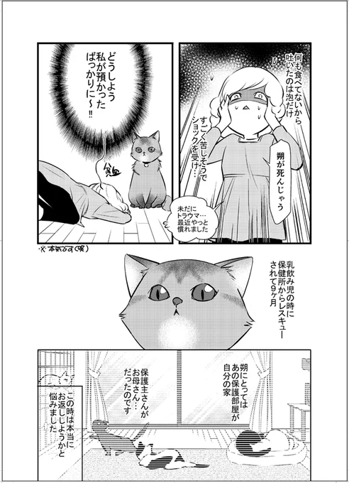 猫が吐くって知識として知っていても、初めて見るとびっくりしてしまって。
人間や犬が吐いたら、病気か? 誤飲か?! って大事じゃないですか…💦 2/2 