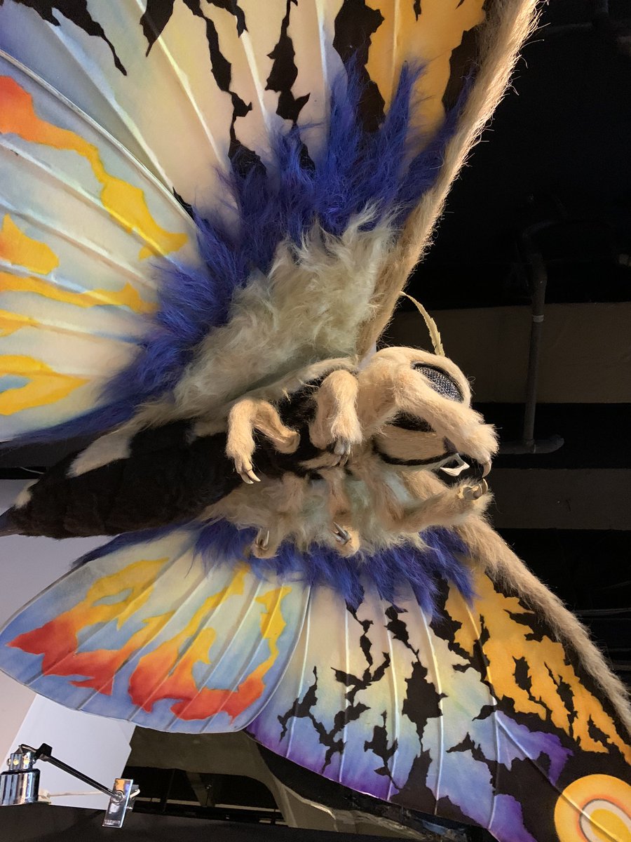 LEON_uchicchi's tweet photo. 何度見ても美しい…🦋✨
＃特撮のDNA #東京タワー #モスラ https://t.co/LuEeXDd3Cs