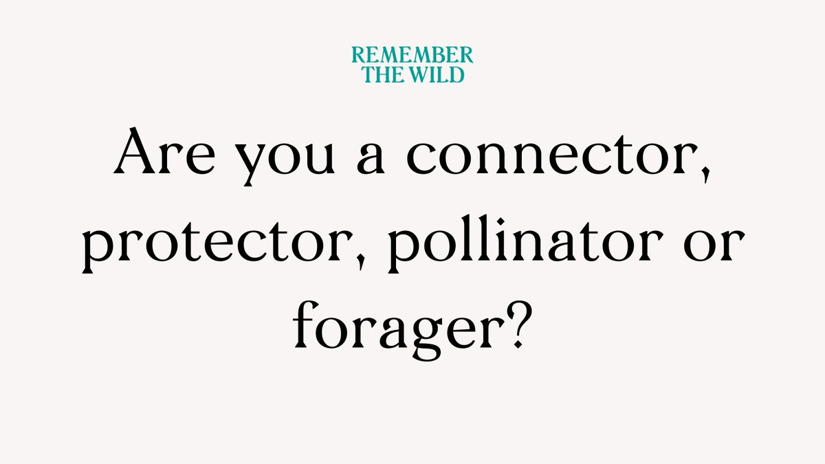 RTW_Aus's tweet photo. Are you a connector, protector, pollinator, or forager?
In the #FriendsofTheWild ecosystem, supporters contribute to a more connected world through their actions, as well as their donations. Which identity are you?
Become a #FriendofTheWild today:
https://t.co/ezbRUIRKjA #nature https://t.co/Y6SjGdthqS