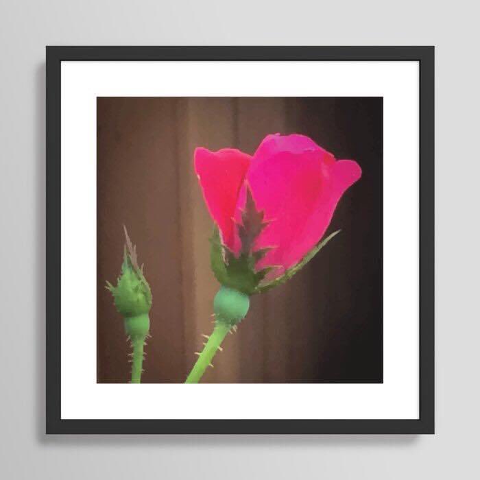 pulaskishepherd's tweet photo. “Single Rose Budding” Framed Art Print

#PulaskiShepherdCo
#pscsco
#SingleRoseBudding
#FramedArtPrint
#society6

https://t.co/dN0BhhyOTA https://t.co/Vb9ujWyuTv