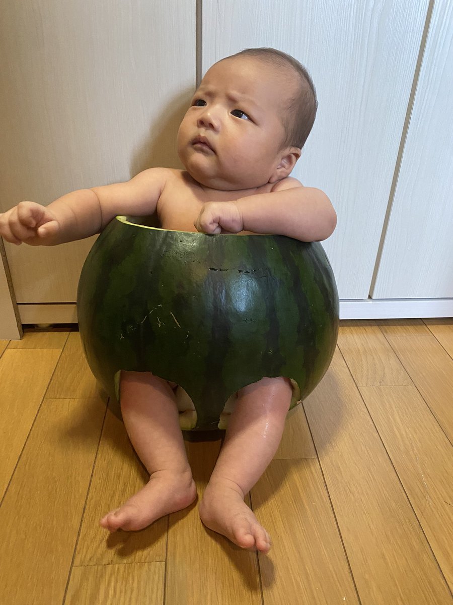 CC2_8's tweet photo. パパ見てガン飛ばしてます😥😥 https://t.co/Ew6H6rlQpE