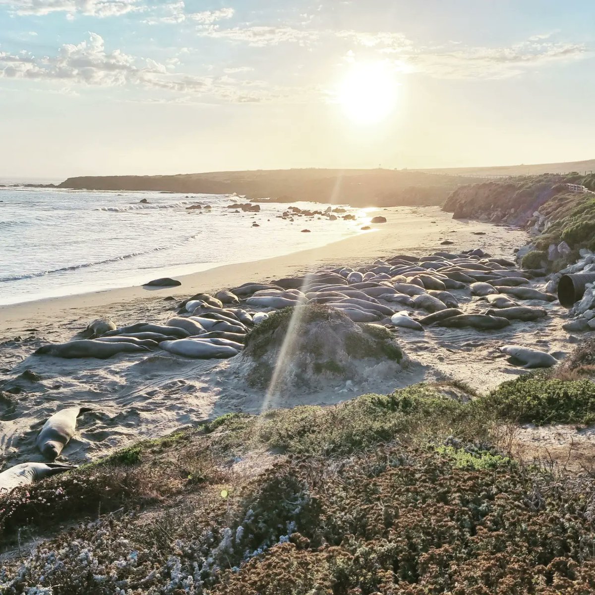 Eoin Price tweet media