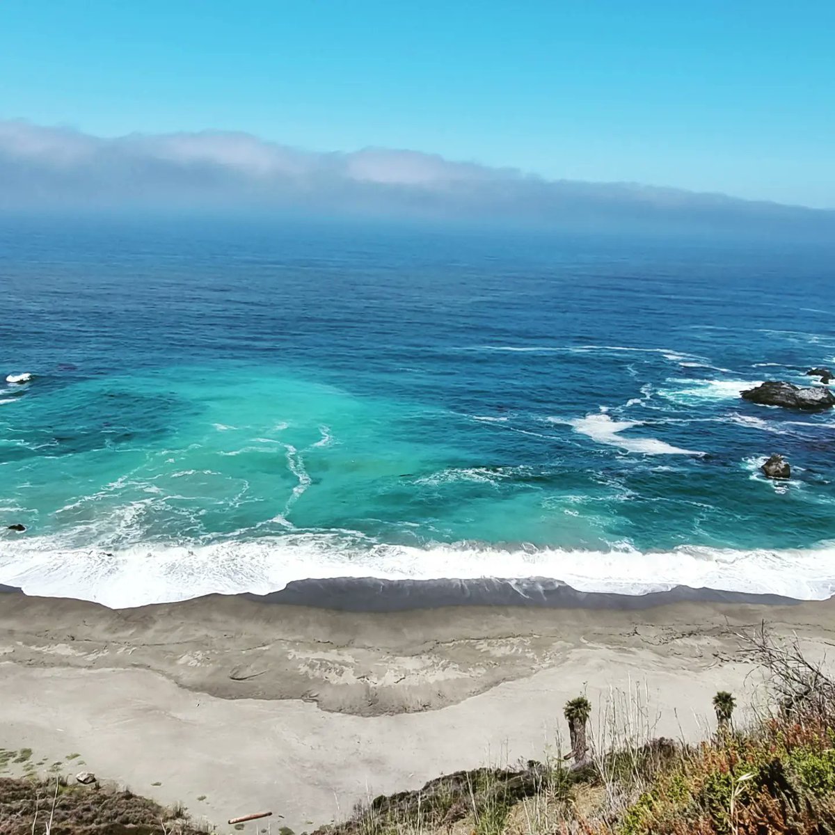 Eoin Price tweet media