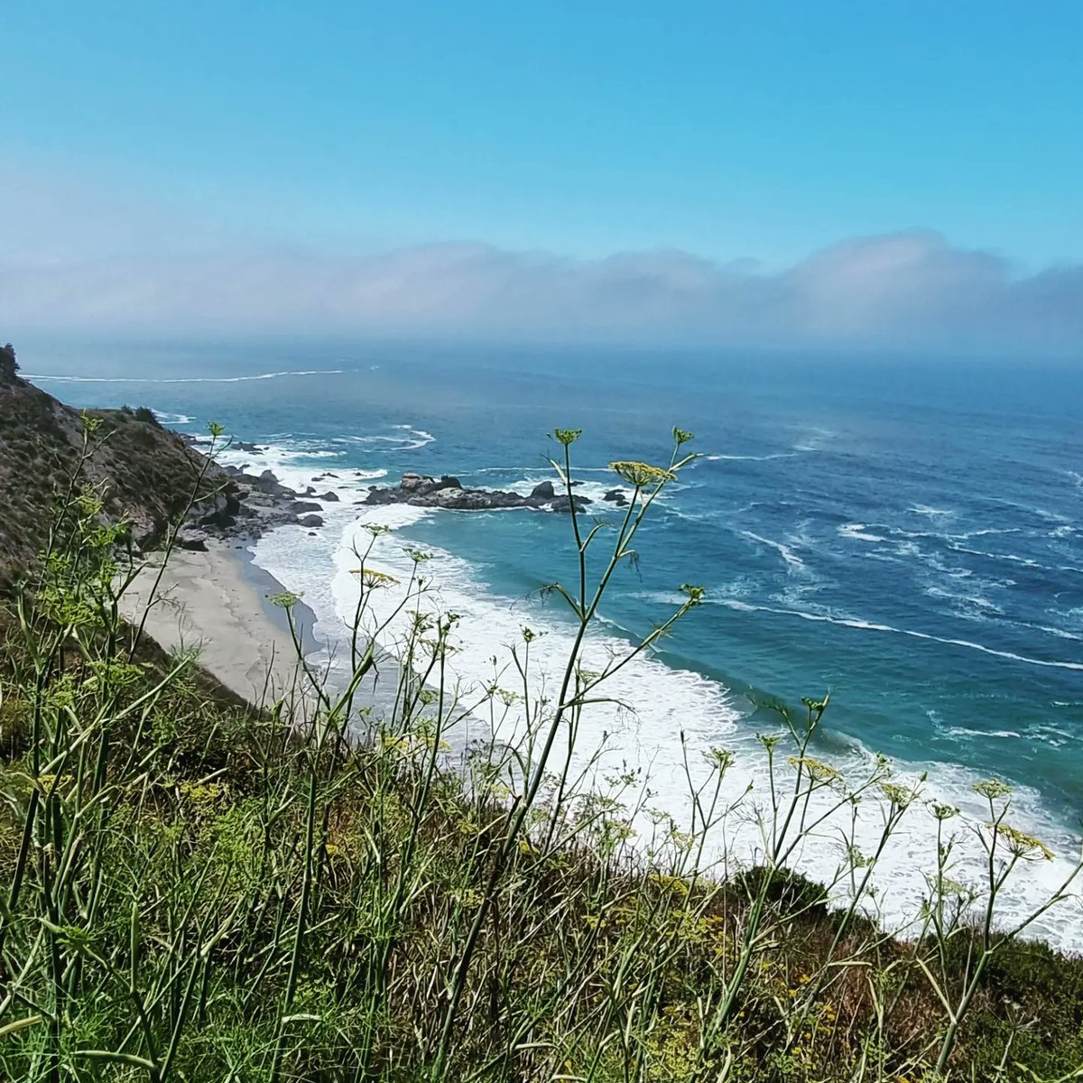 Eoin Price tweet media